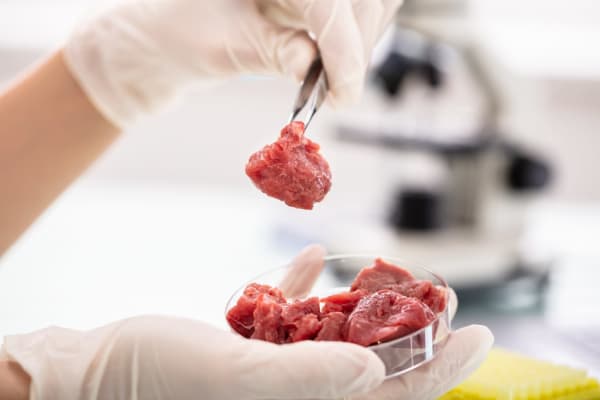 Lab Grown Meat Has A Steak In Australia S Culinary Future