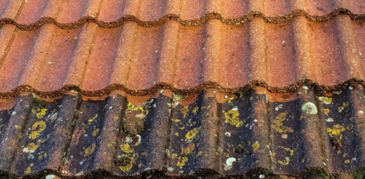 See How Much Roof Coating Cleaning Costs In 2019