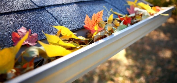 Cost To Clear Out Clean Guttering Updated Prices For 2019