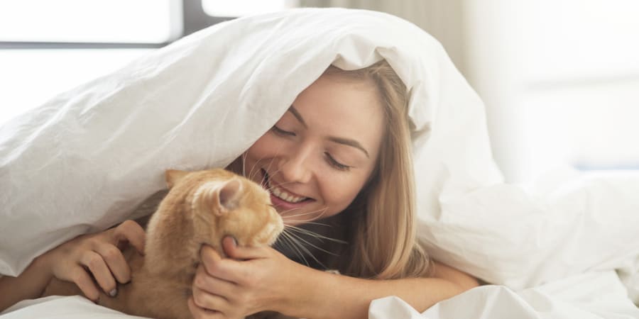 Quiz Es Tu Ailurophile Vraiment Chat