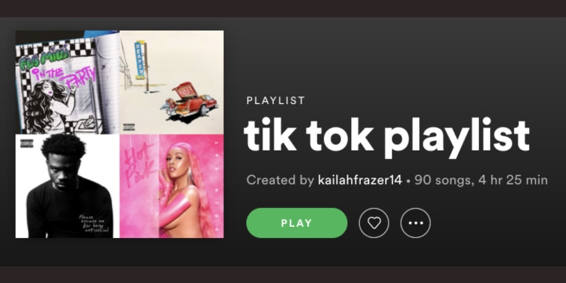 Quiz What Tiktok Song Are You The Paw Print