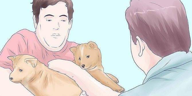 Can You Guess The Bizarre WikiHow? Oxygen.ie