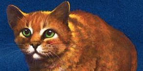The Extra Hard Warrior Cats Quiz Warrior S Wish