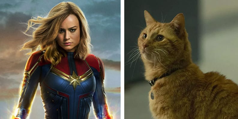 Quiz Guess A Famous Pet Companion Of Marvel Characters