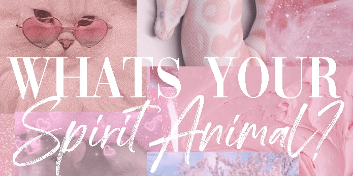 Quiz What S Your Spirit Animal Spirit Animal Quiz Femme Luxe Uk