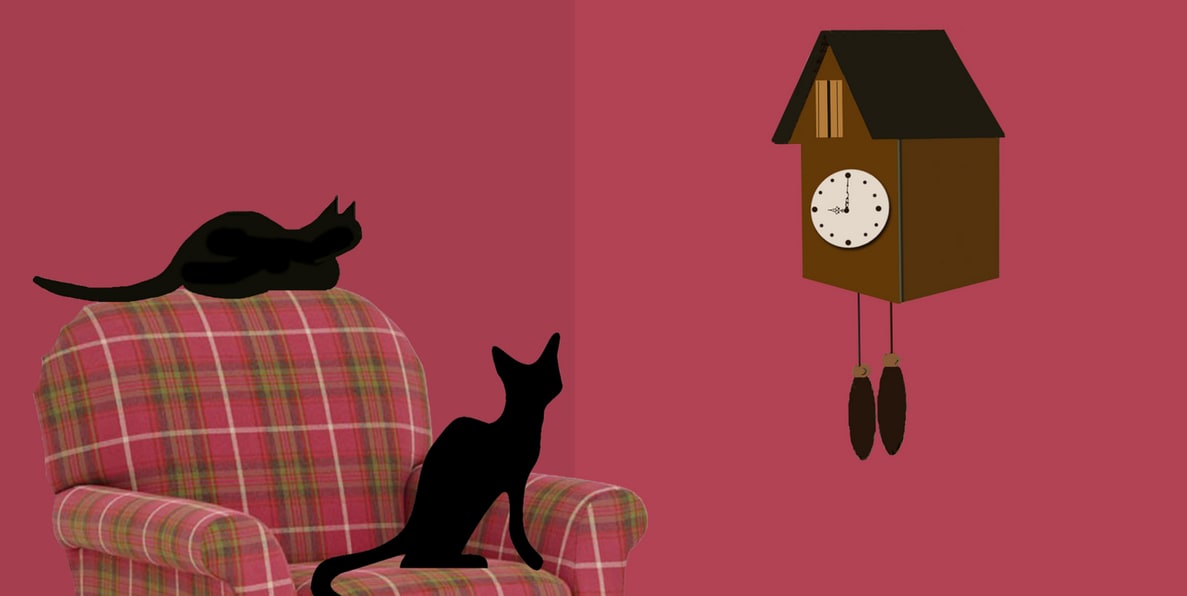 Checklist 5 Things To Consider Before Adopting A Cat Cat
