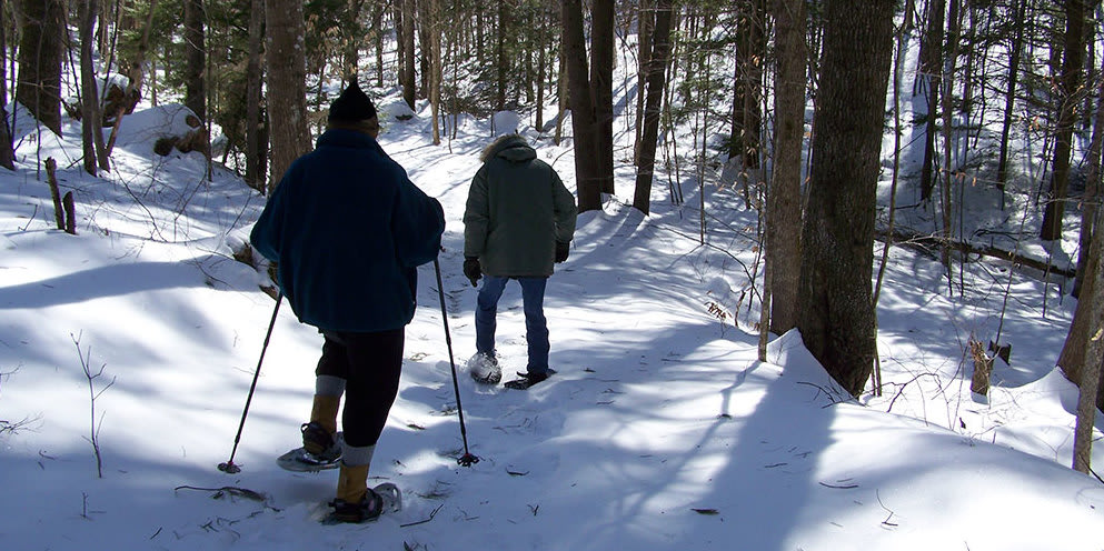 Today S Trivia Quiz Test Your Knowledge Of New Hampshire Winter Ecology