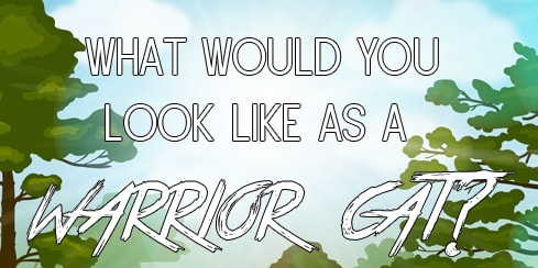 What Would You Look Like As A Warrior Cat