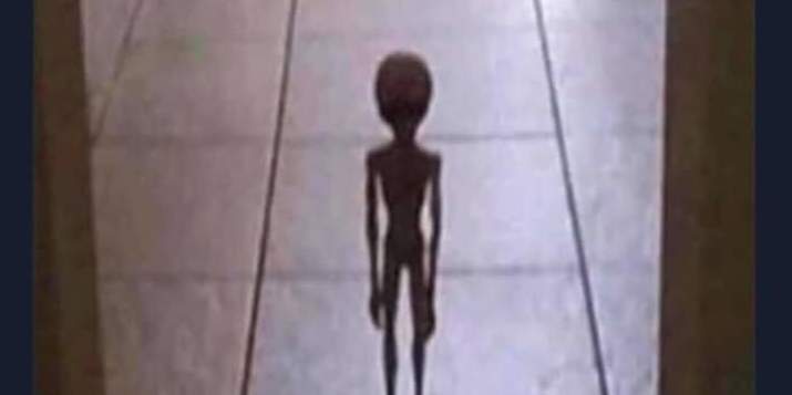 Will You Survive The Area 51 Storm
