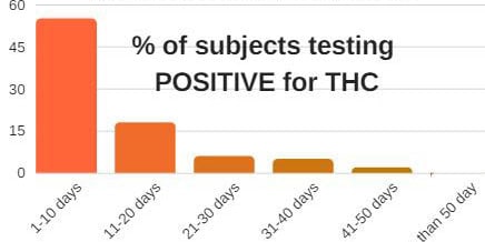 Will You Pass A Urine Drug Test