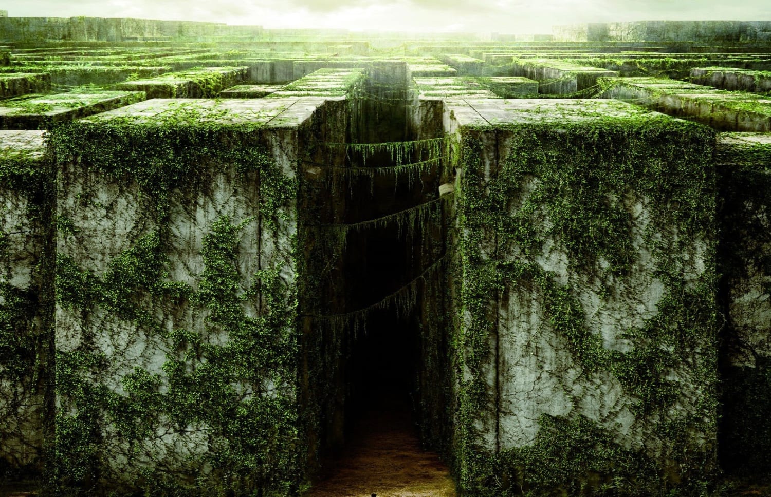 The 10 Hardest Riddles On The Internet