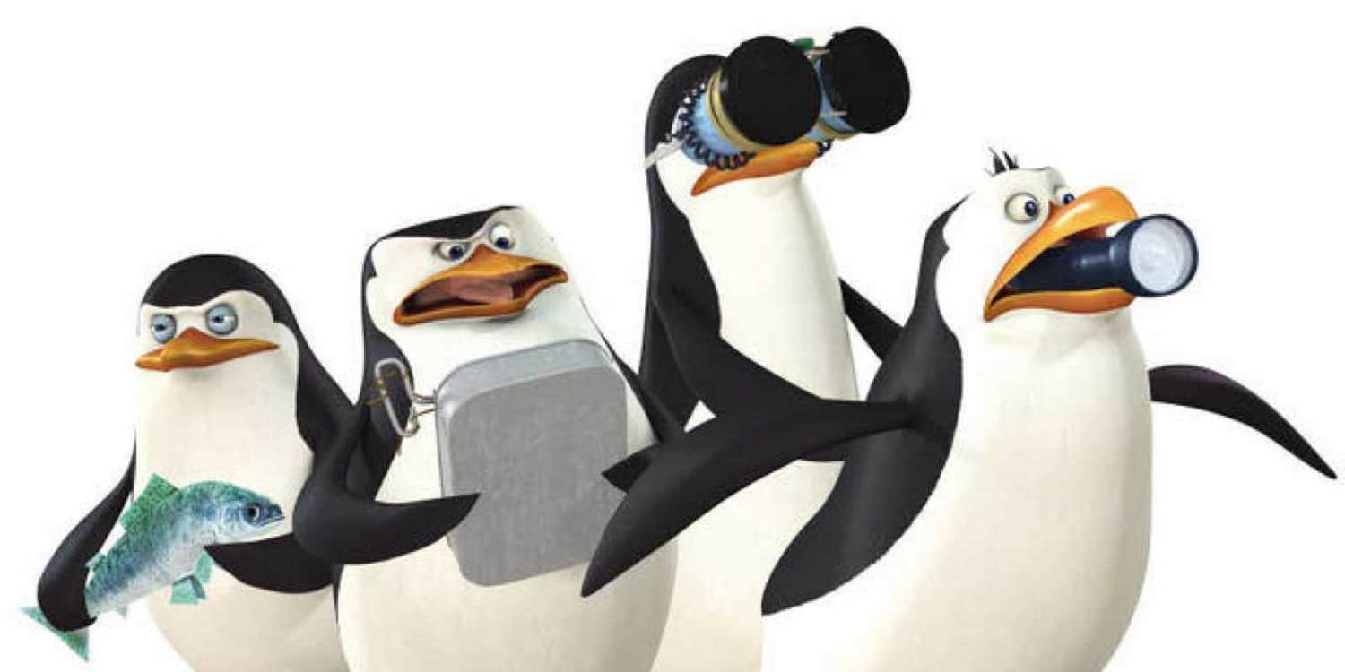 Test Skipper Kowalski Cabo O Rico Que Pinguino De Madagascar Te Representa Series Canal 5
