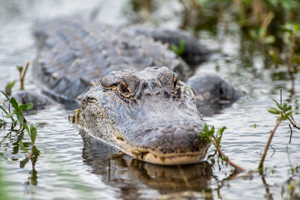 WhatsApp Image 2026-01-15 at 13