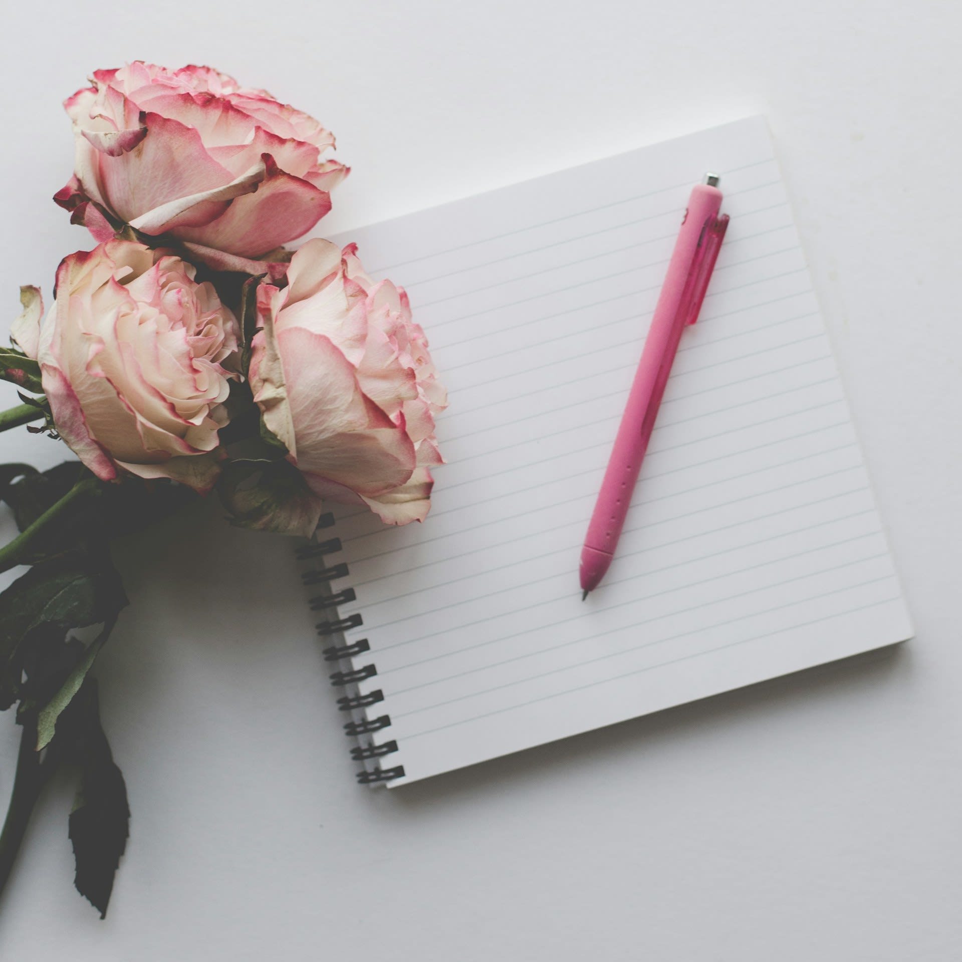 photo-1755528180479-3b3bb927fbee