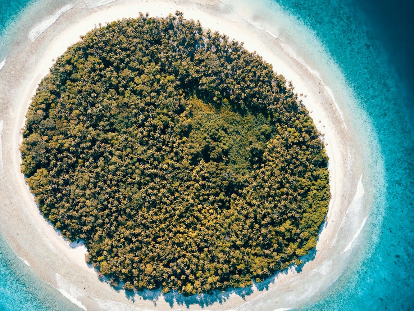 photo-1730483940882-14465f1f29d4