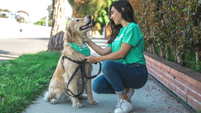 a-day-in-the-life-of-a-dog-trainer