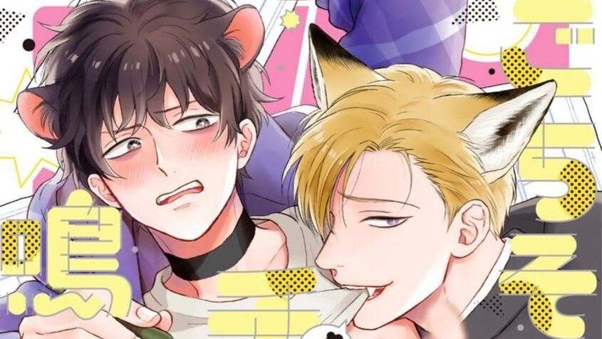 The Foxy Mouse's Romance cover