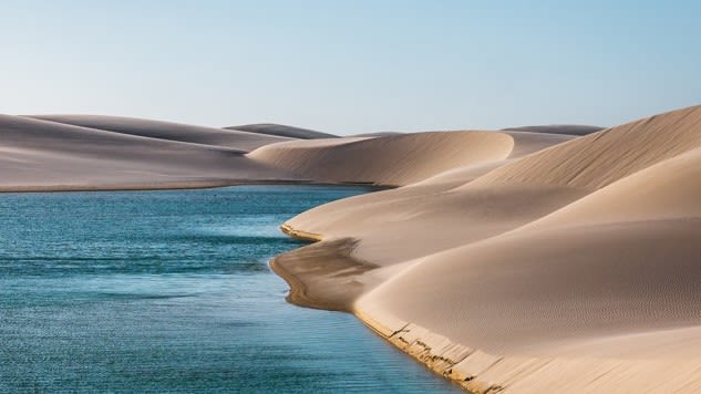 desert oasis 