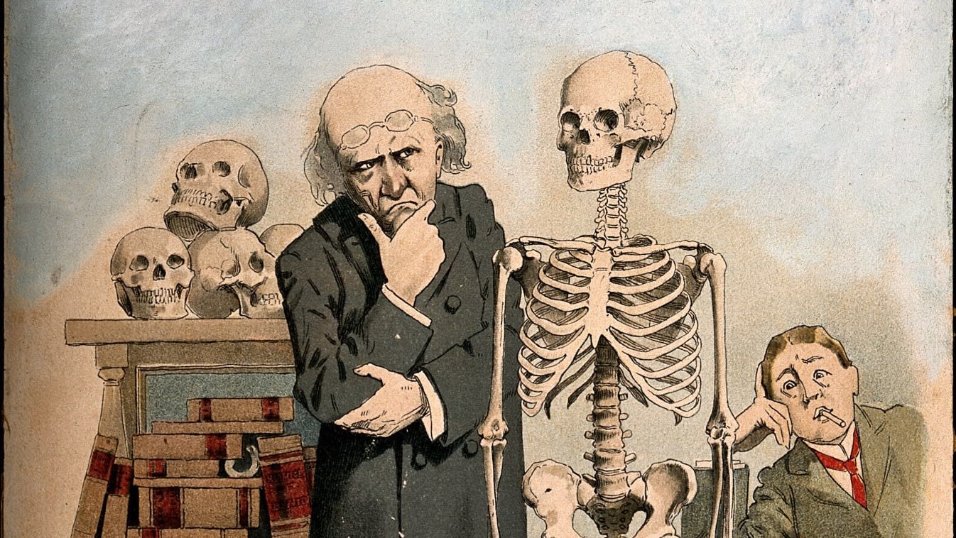 image-from-rawpixel-id-13955253-original