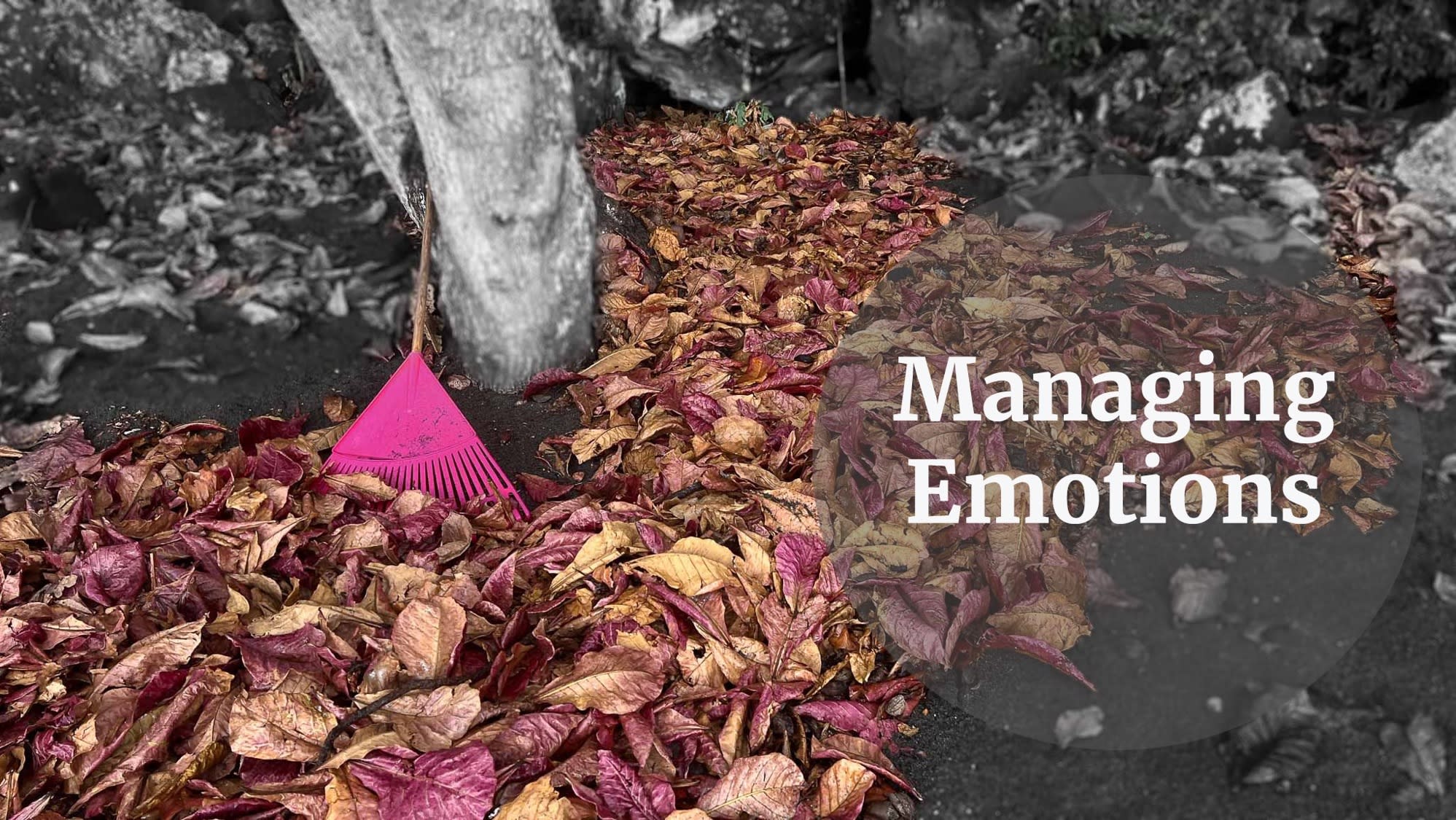 managing emotions
