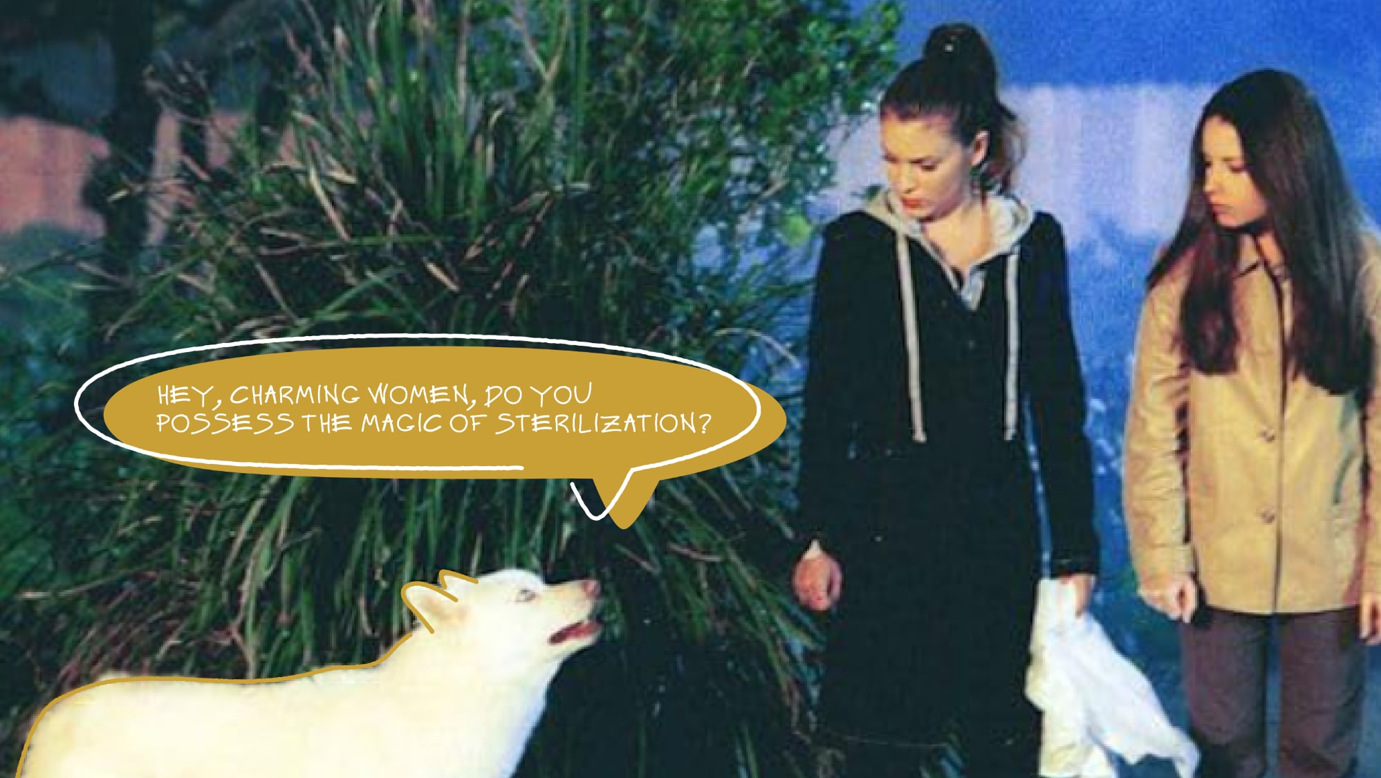 тест про зоозахист в серіалах-05