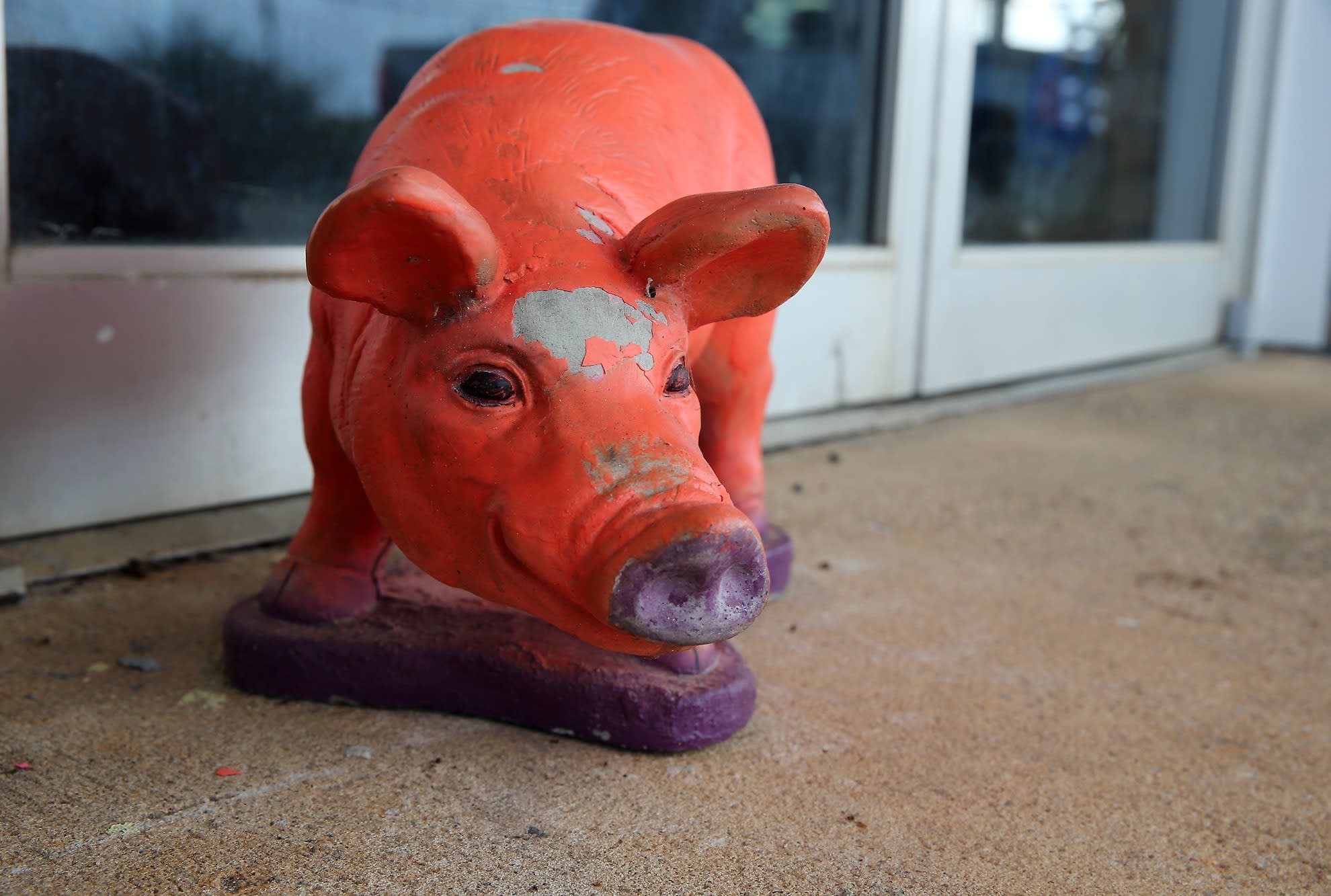 Pig statue