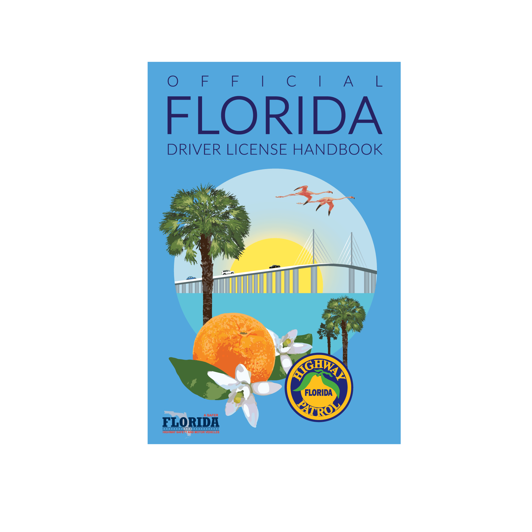 drivers license handbook image