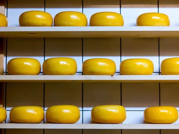 Cheese 
