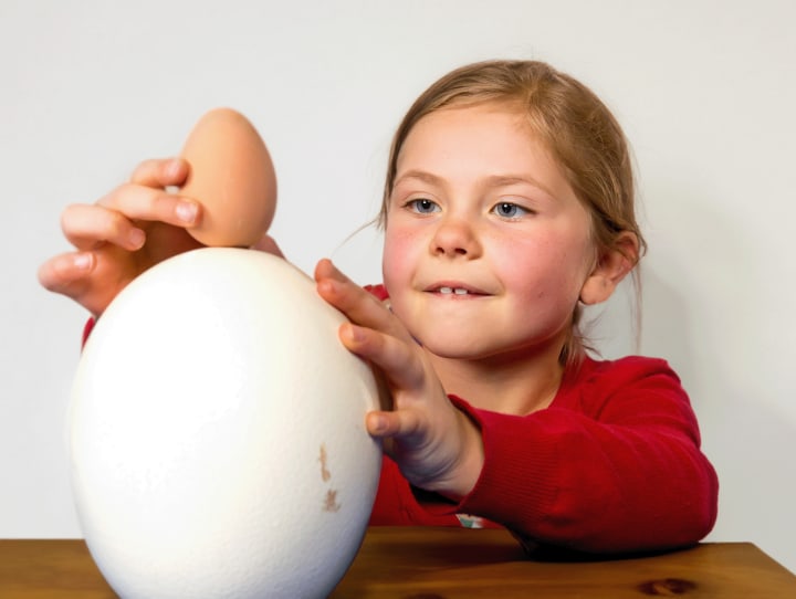 Egg Balance_0