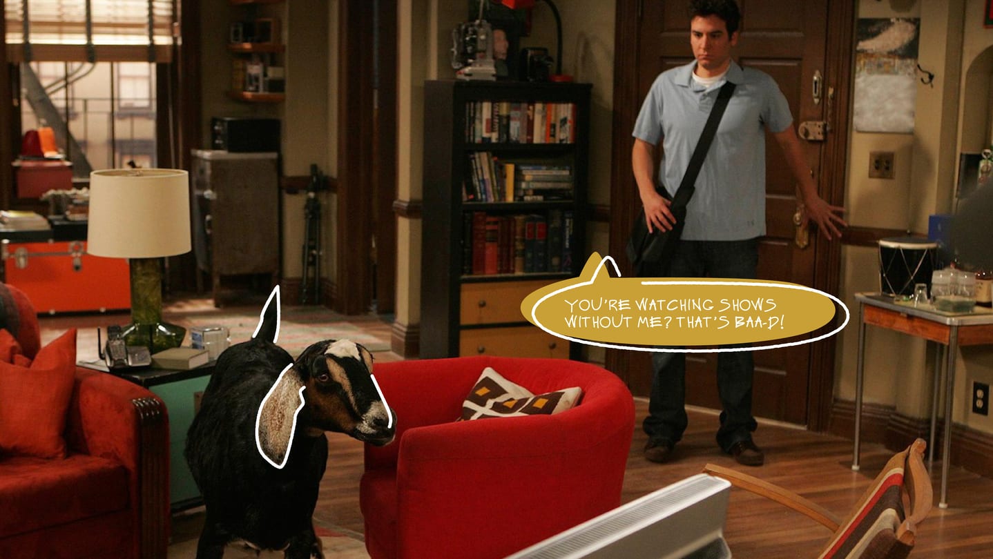 тест про зоозахист в серіалах-04