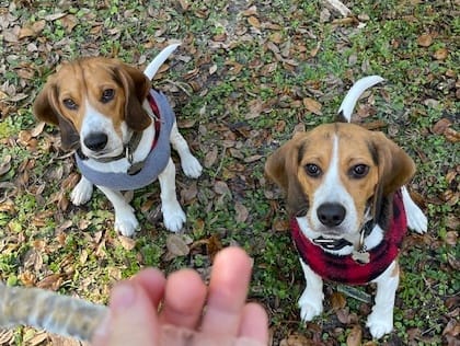 Winston and Jackson