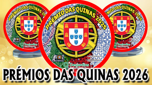 mini 5 quinas copy