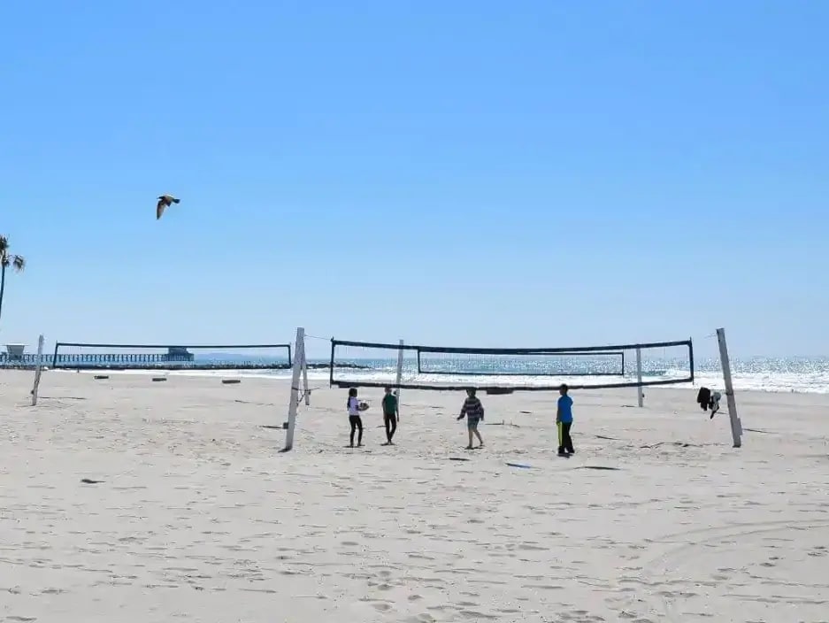 harbor-beach-volleyball-court