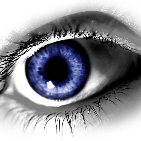 eye