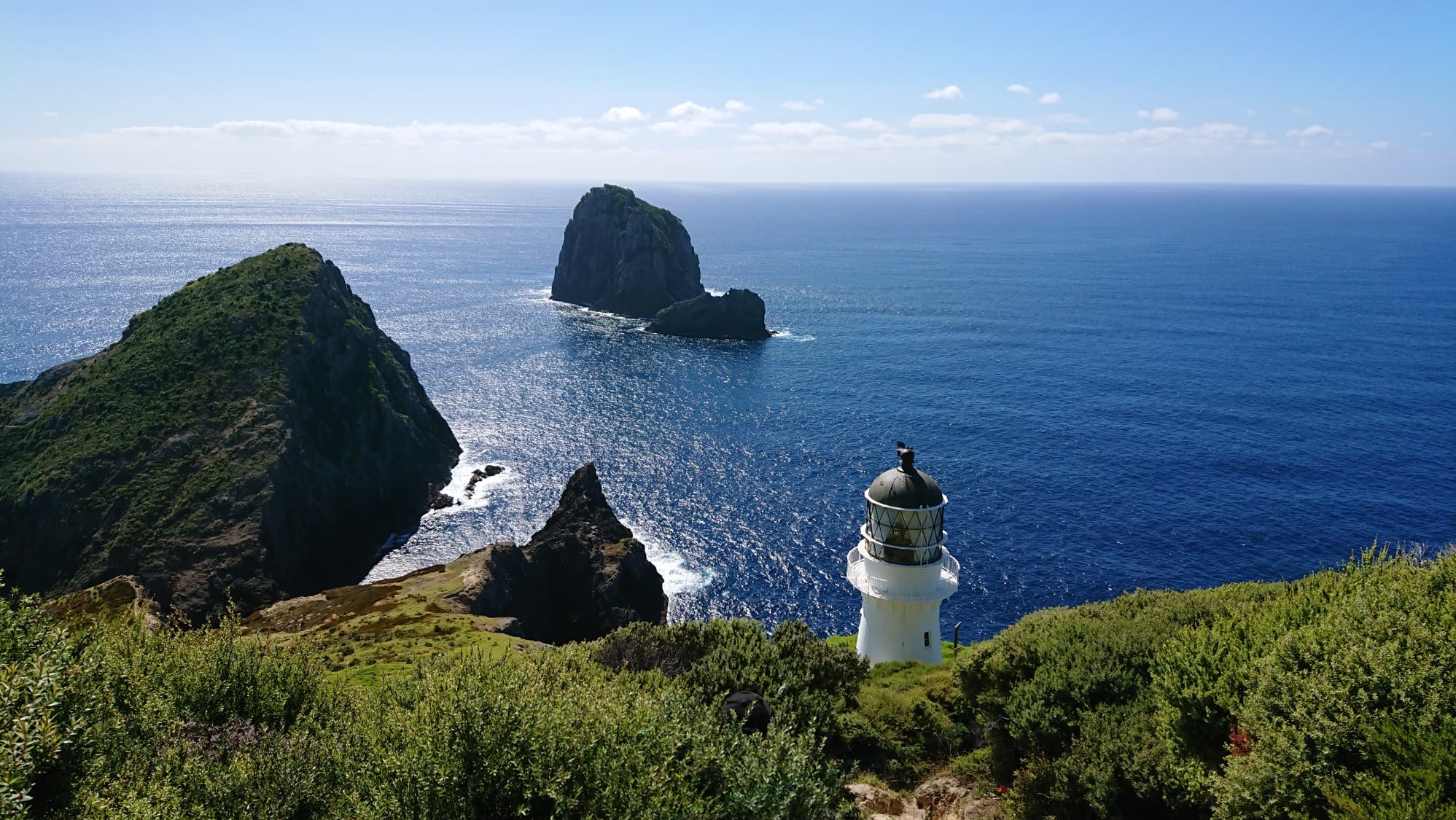 assets_images_phocagallery_kauri-1-april-2011114-jack-levell_DSC-0462