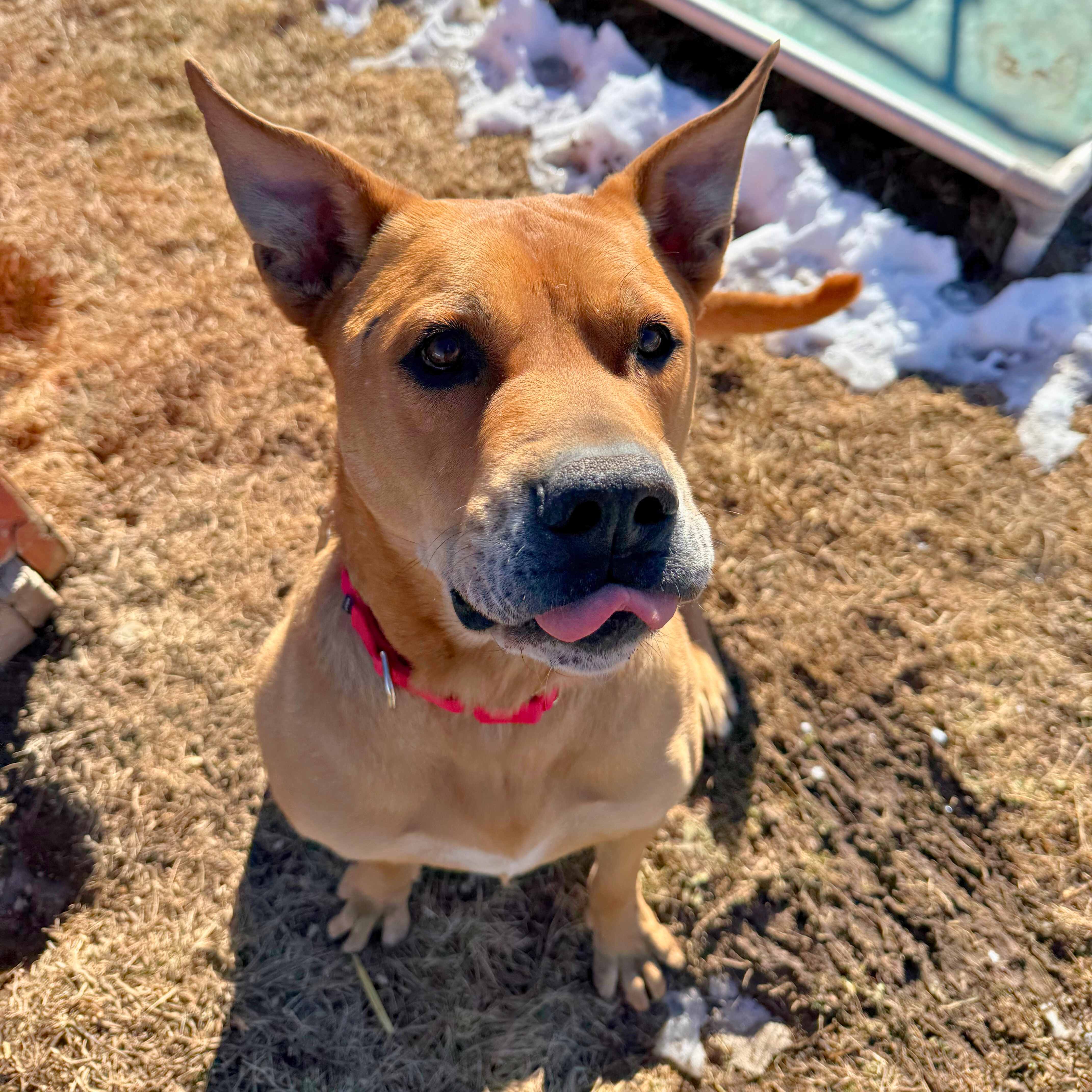 c07f0717-2798-4191-9946-086584688e47 (1) (1)