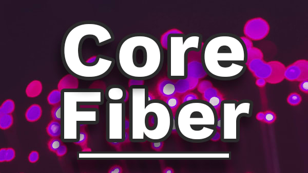 Home Core Fiber 2x3