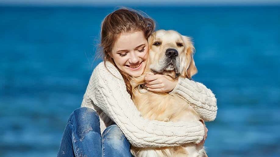 15-Human-Animal-Relationship-Awareness-1200x834