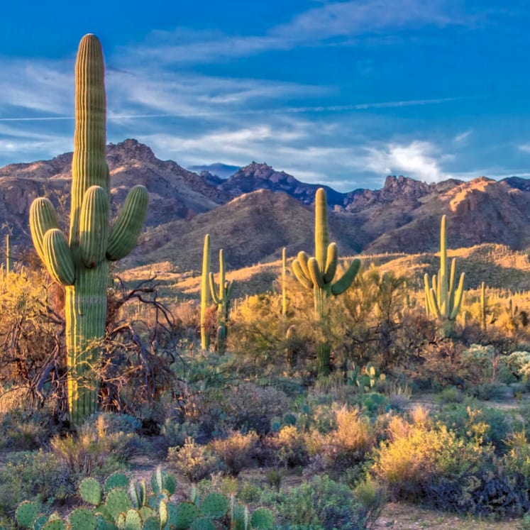 Screenshot 2025-10-11 at 6