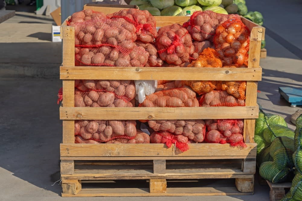 WhatsApp Image 2026-03-31 at 16