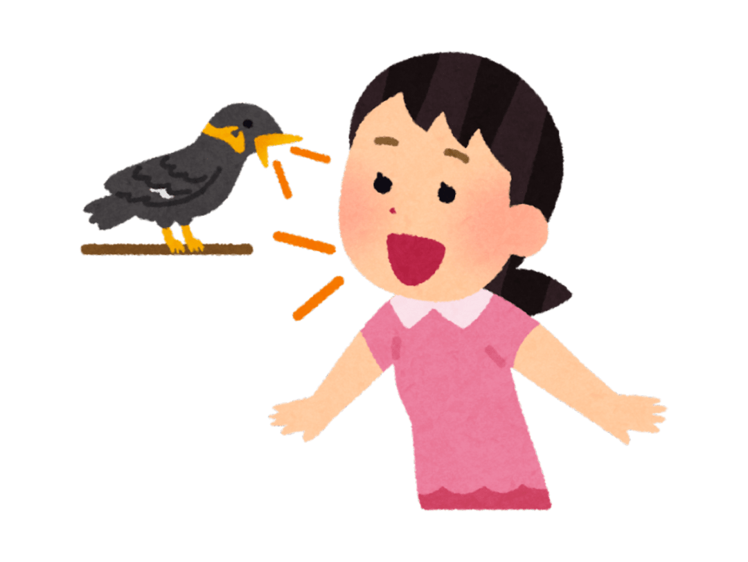 book buddy quiz elements (1080 x 812 px) - 22