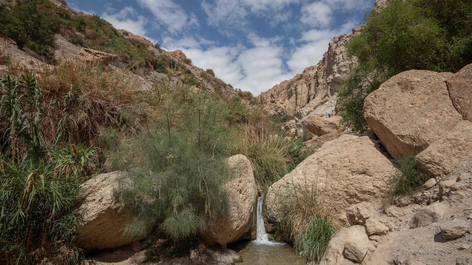 shutterstock_2306672495