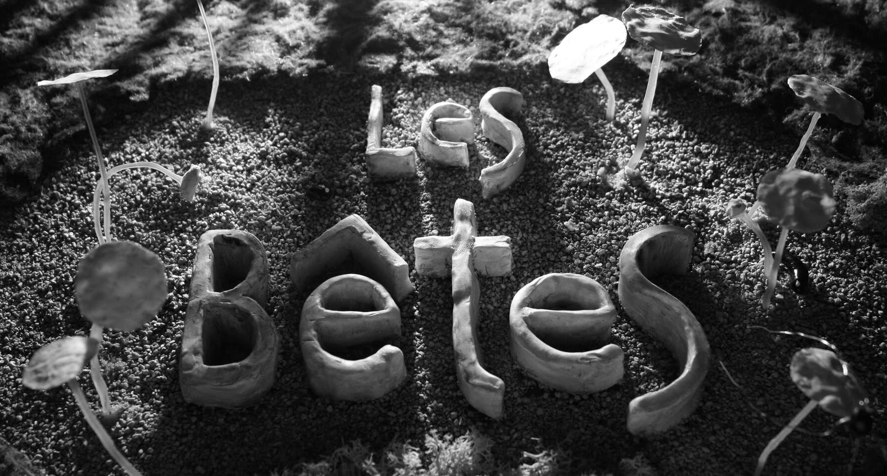LES_BETES_STILL_PHOTO_1