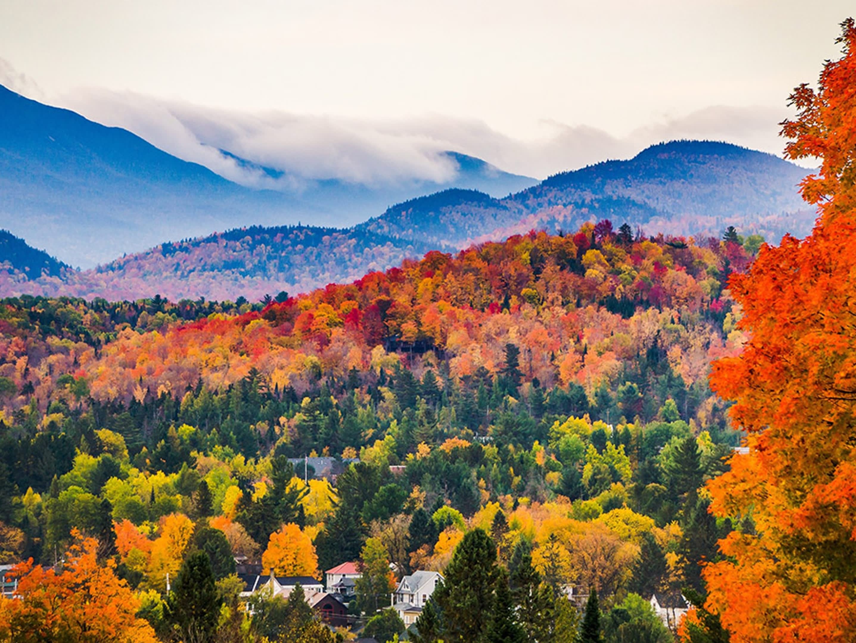fall-quotes-fall-landscape