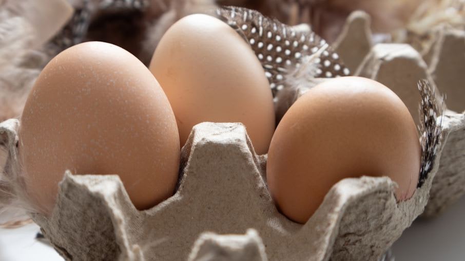 photo-1740584841601-e9faf8376a8a