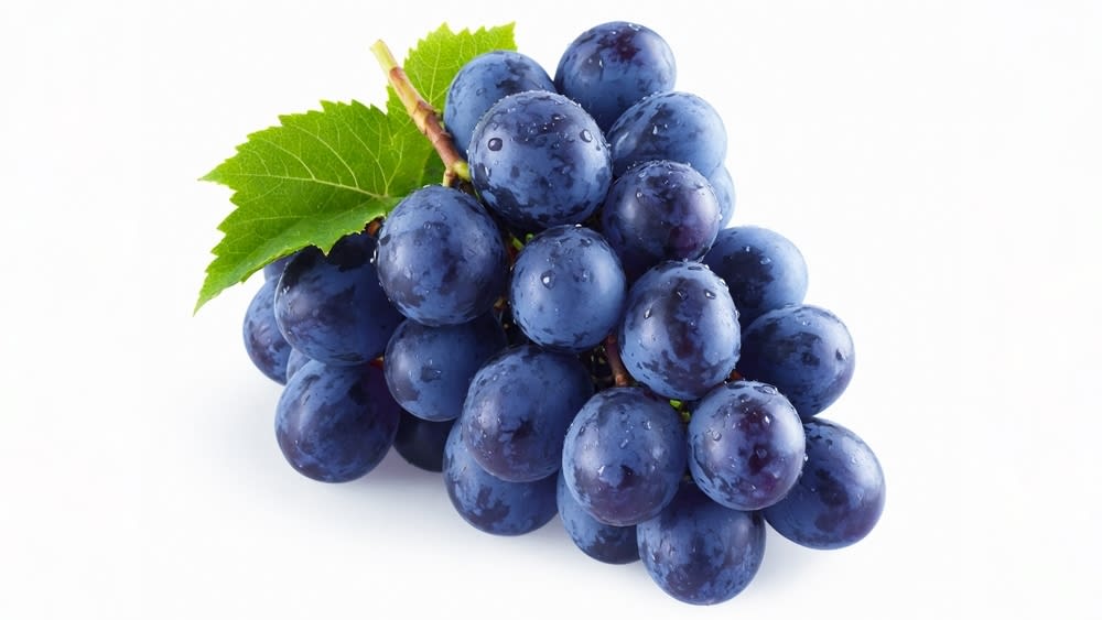 shutterstock_2497453631