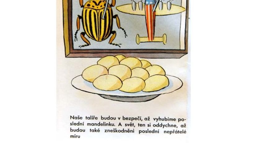 4f2a86e0fd113e3491733b532b0d5532_resize=820,547_