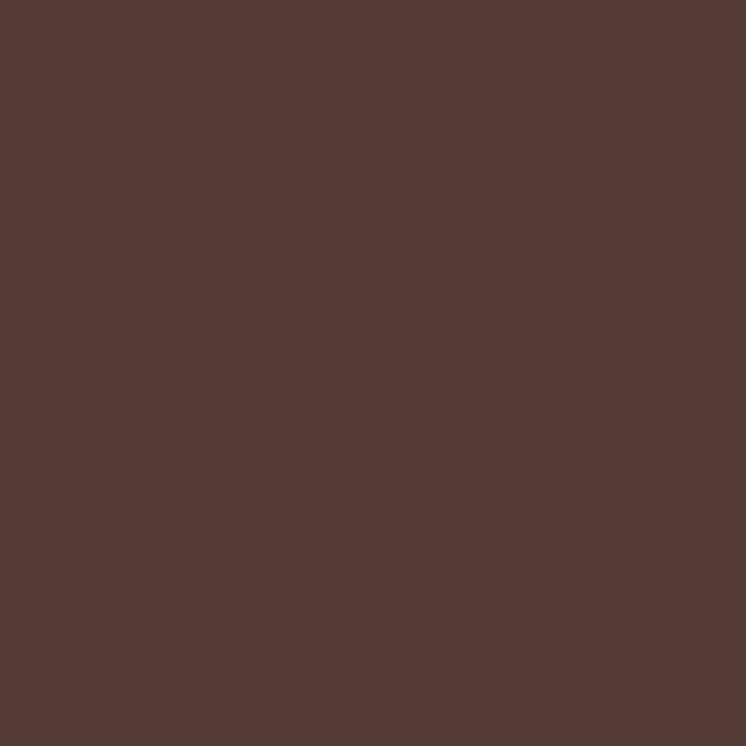 raw umber 2