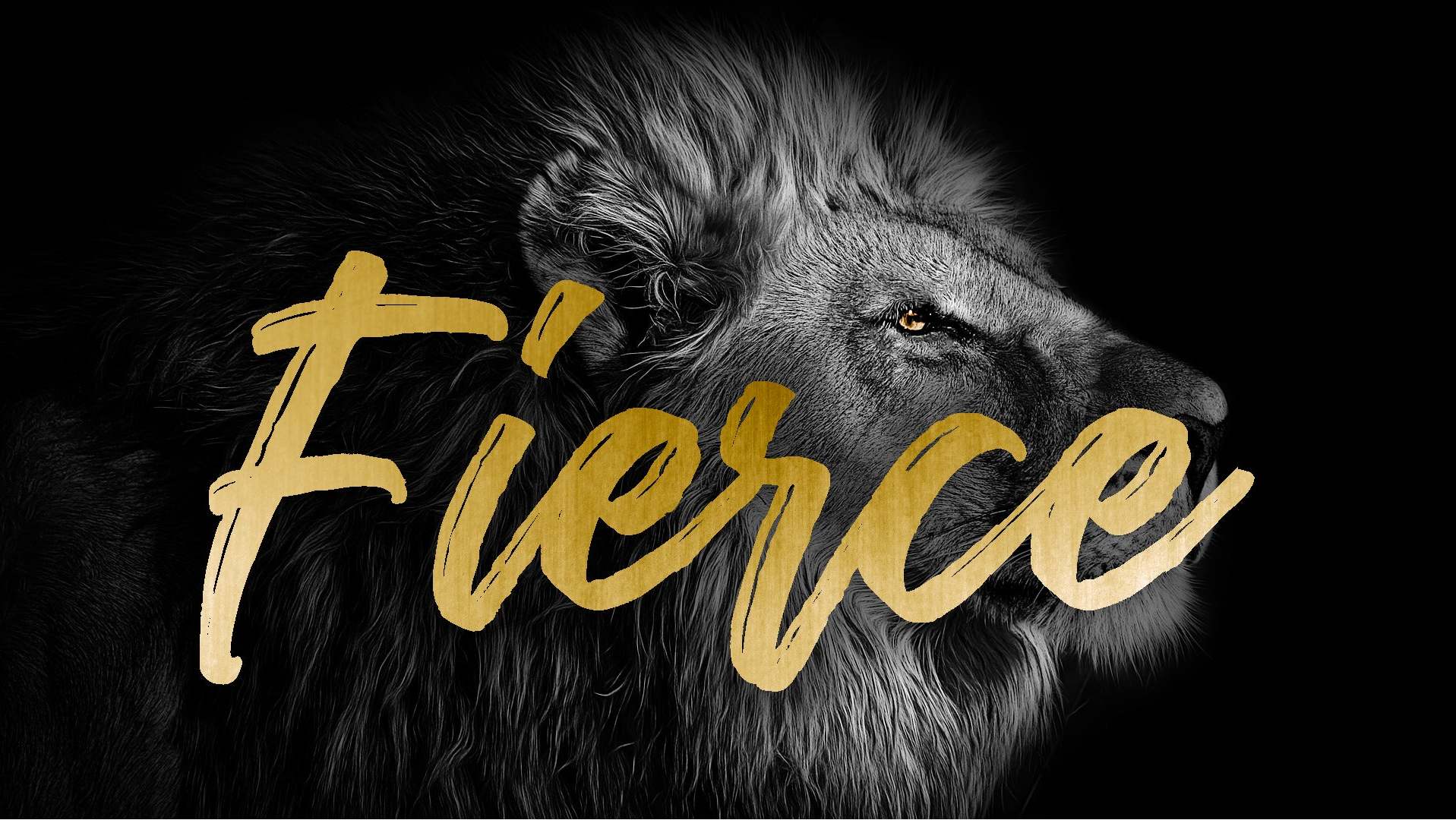 Fierce-Series-Graphic