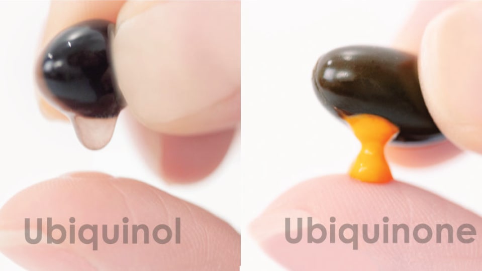 ubiquinol-ubiquinone